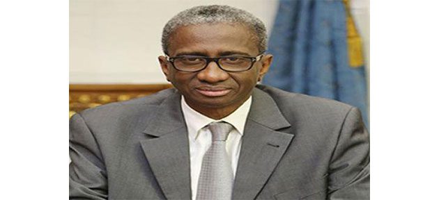 President of Constitutional Council Returns to Nouakchott from Algeria