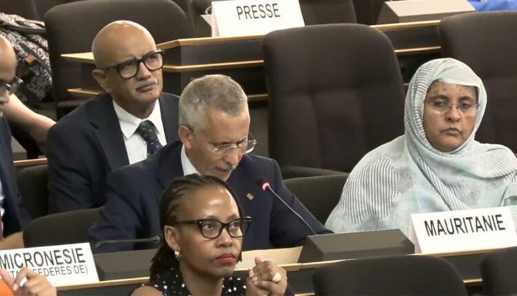 The Special Rapporteur on the human rights of migrants commends Mauritania’s efforts in migration management and refugee protection