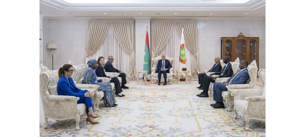 President of the Republic Receives the Director-General of the World Health Organization
