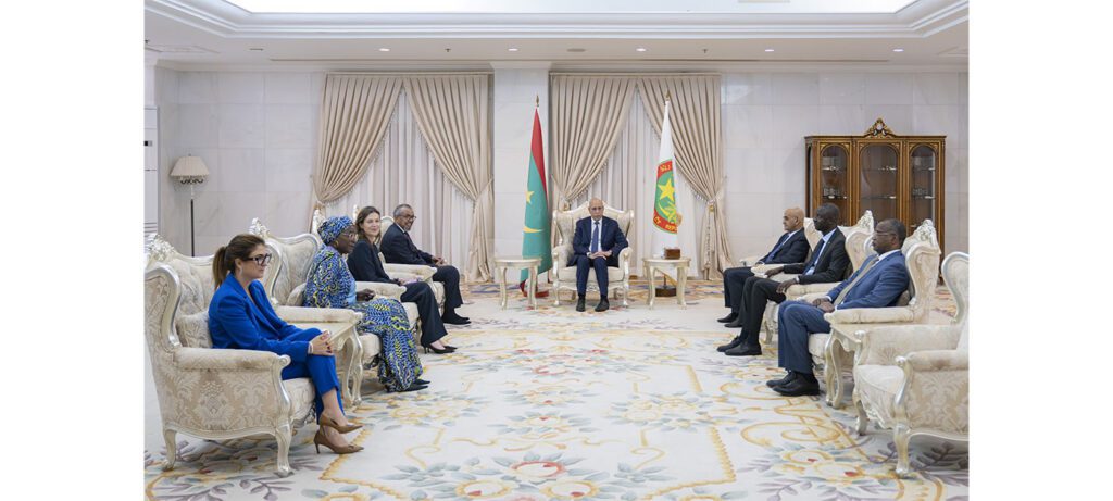 President of Republic Receives WHO Director General