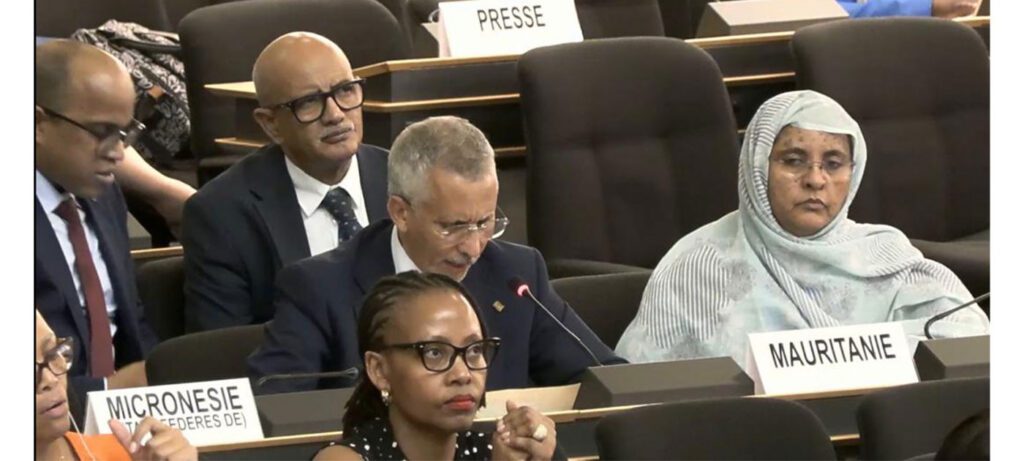 Le Rapporteur spécial sur les droits de l’homme des migrants salue les efforts de la Mauritanie en matière de gestion des migrations et de protection des réfugiés