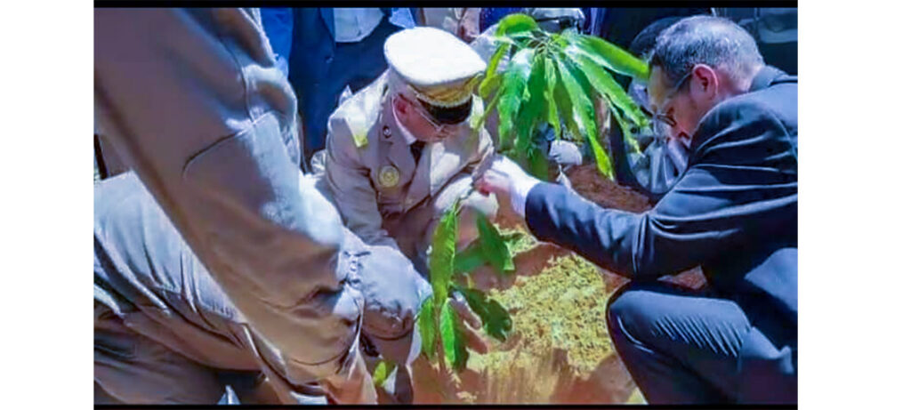 Le wali du Gorgol préside le coup d’envoi de la Semaine nationale de l’arbre à Kaédi